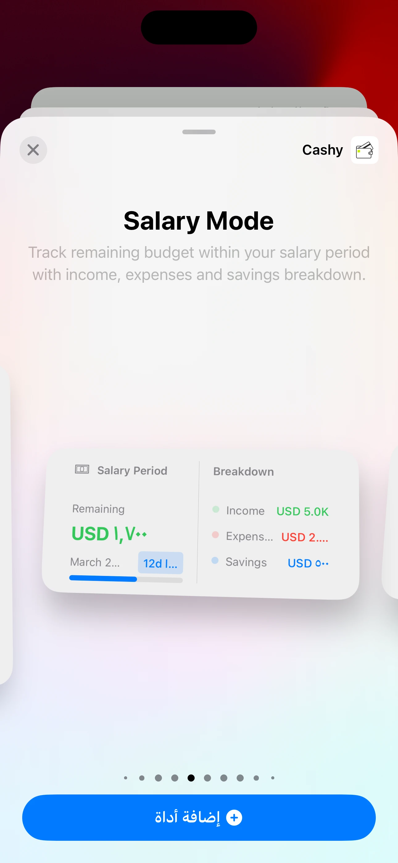 Salary widget