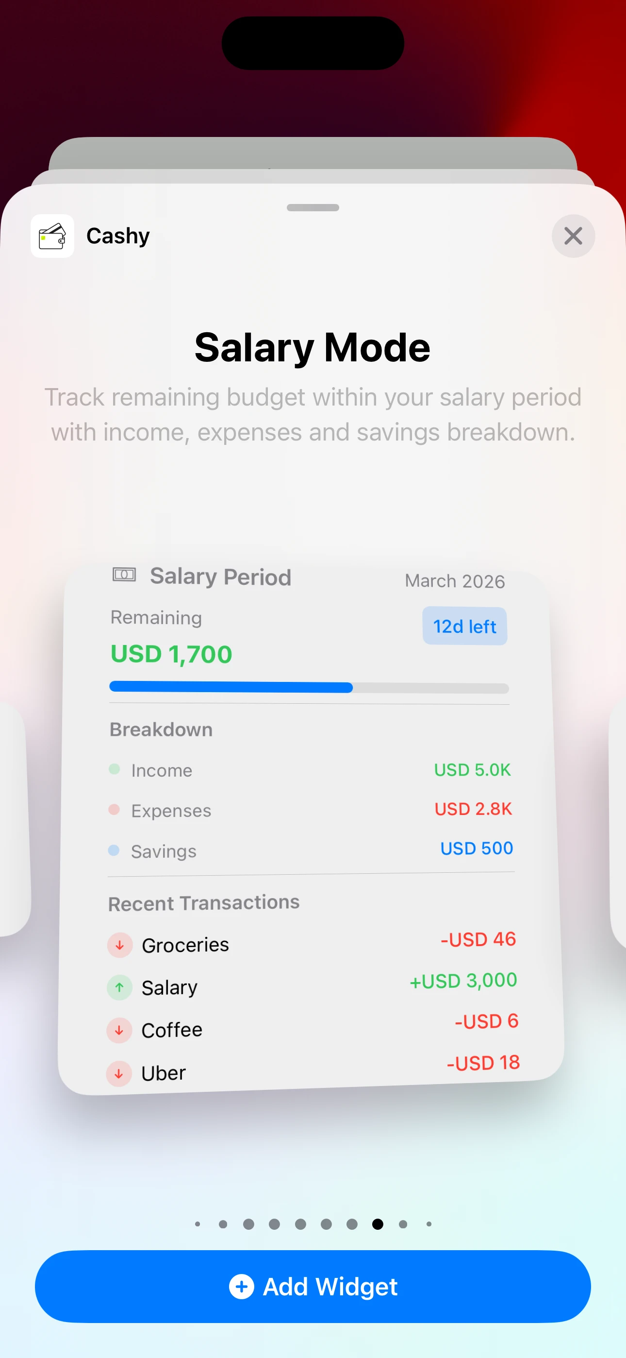 Salary widget